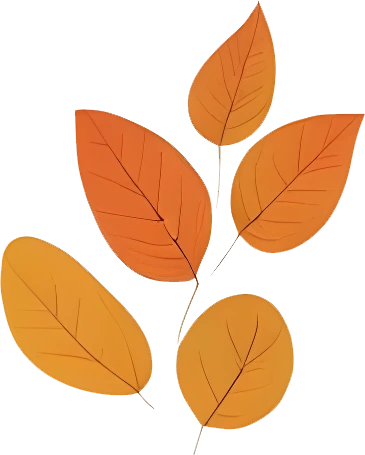 rendy Foliage Design, Leaf PNG Download, Tropical different type exotic leaves set_16.webp